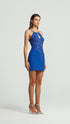 Decolletage Cobalt Mini Dress